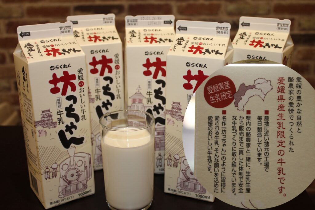 愛媛県限定の新鮮な生乳から作られた安全な坊っちゃん牛乳
